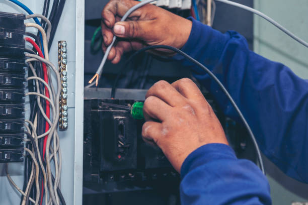 Best Ceiling Fan Installation Electrician  in Kodi Station, AK